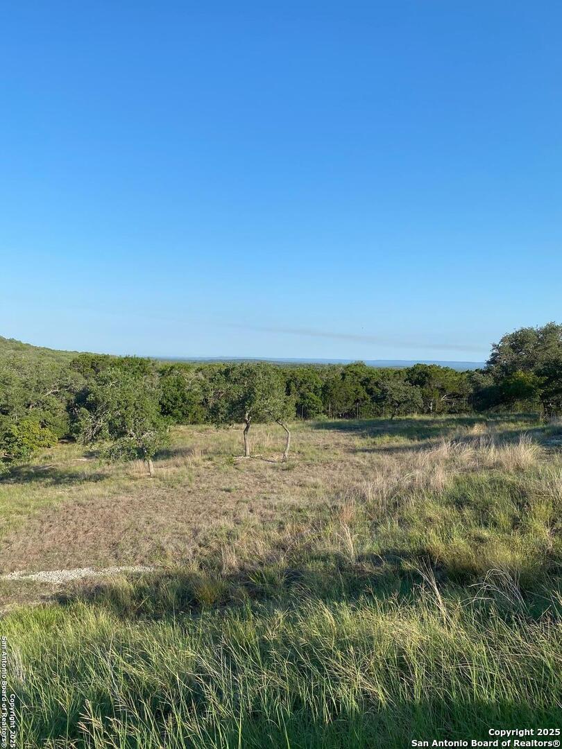 1476 Flightline Spring Branch, TX 78070 - Photo 5 of 5