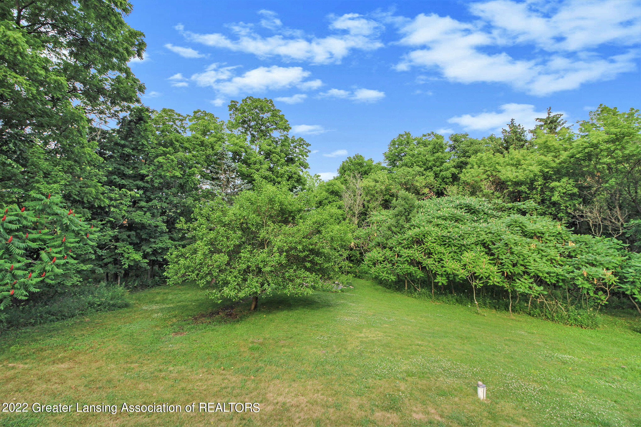 1100 North Smith Road Eaton Rapids, MI 48827 - Photo 23 of 28 IMG_2536