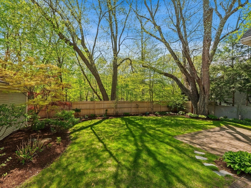 20 Maple Street Lexington, MA 02420 - Photo 10 of 36 a view of backyard with tree