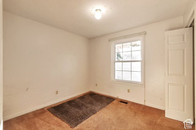 386 North 210 East Mapleton, UT 84664 - Photo 20 of 30 Single-hung window with a grid pattern, carpeted flooring, and a flush-mount ceiling light fixture