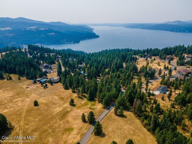 13534 South Ridgeview Drive Harrison, ID 83833 - Photo 6 of 70 008_bb193731-8_547