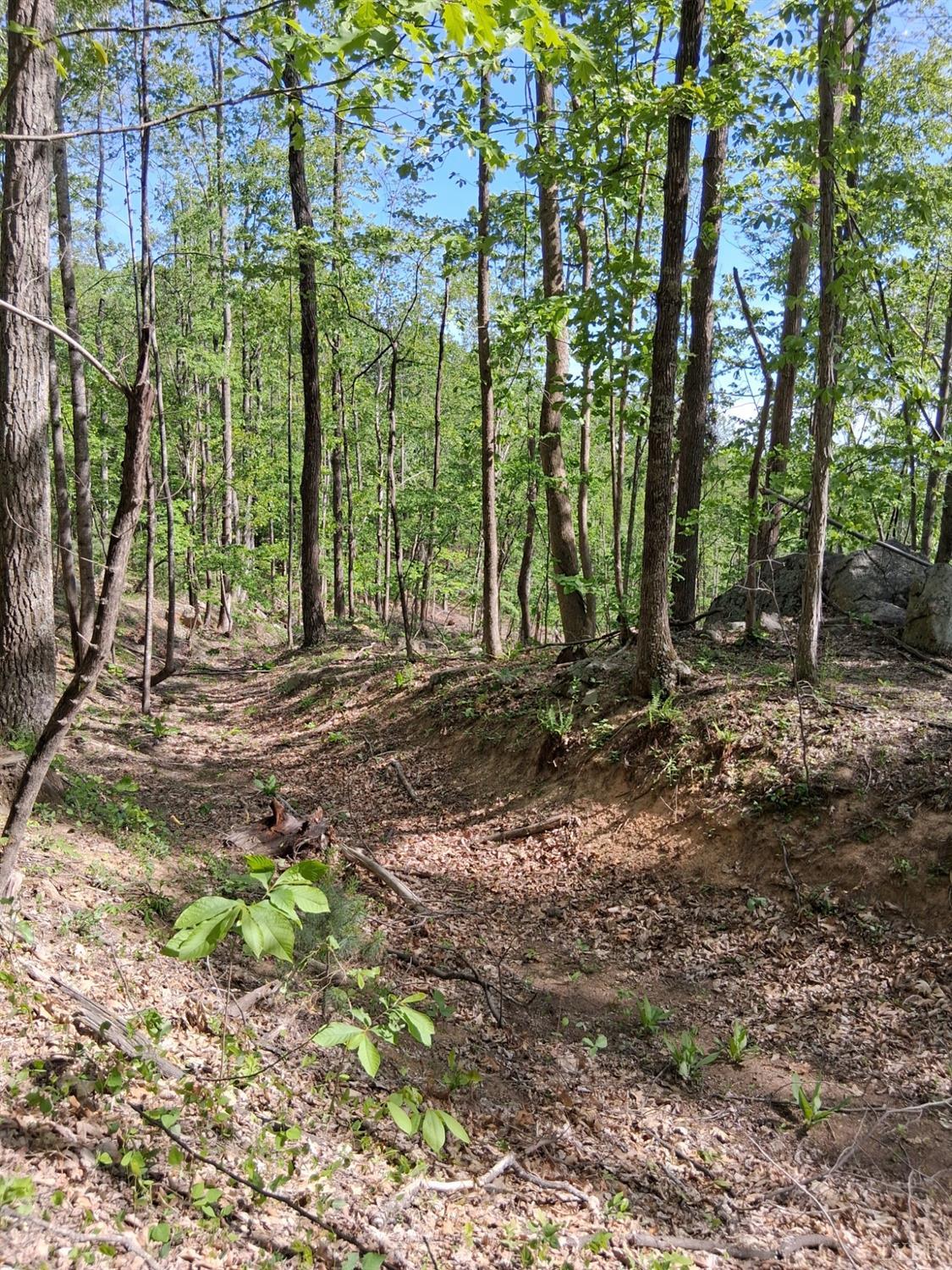 0 Robinson Gap Road Monroe, VA 24574 - Photo 28 of 44 Gallery Image 28