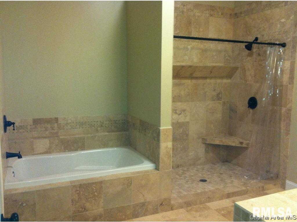 487 North Koke Mill Road Springfield, IL 62711 - Photo 11 of 19