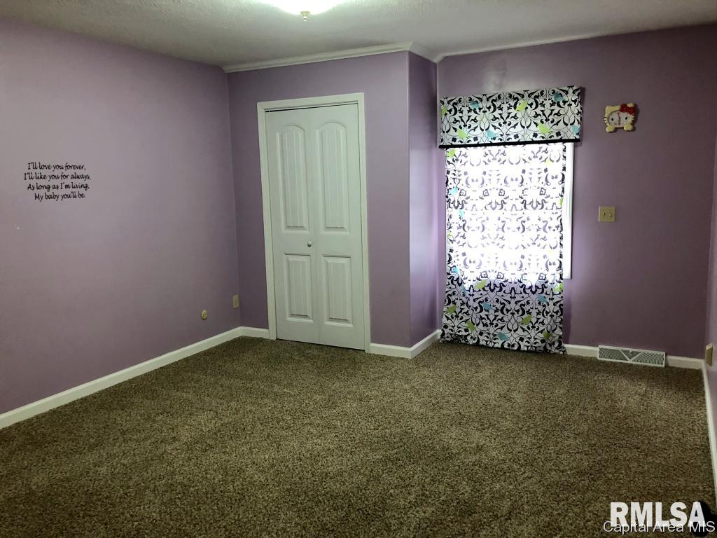 487 North Koke Mill Road Springfield, IL 62711 - Photo 13 of 19