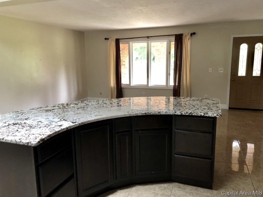 487 North Koke Mill Road Springfield, IL 62711 - Photo 4 of 19