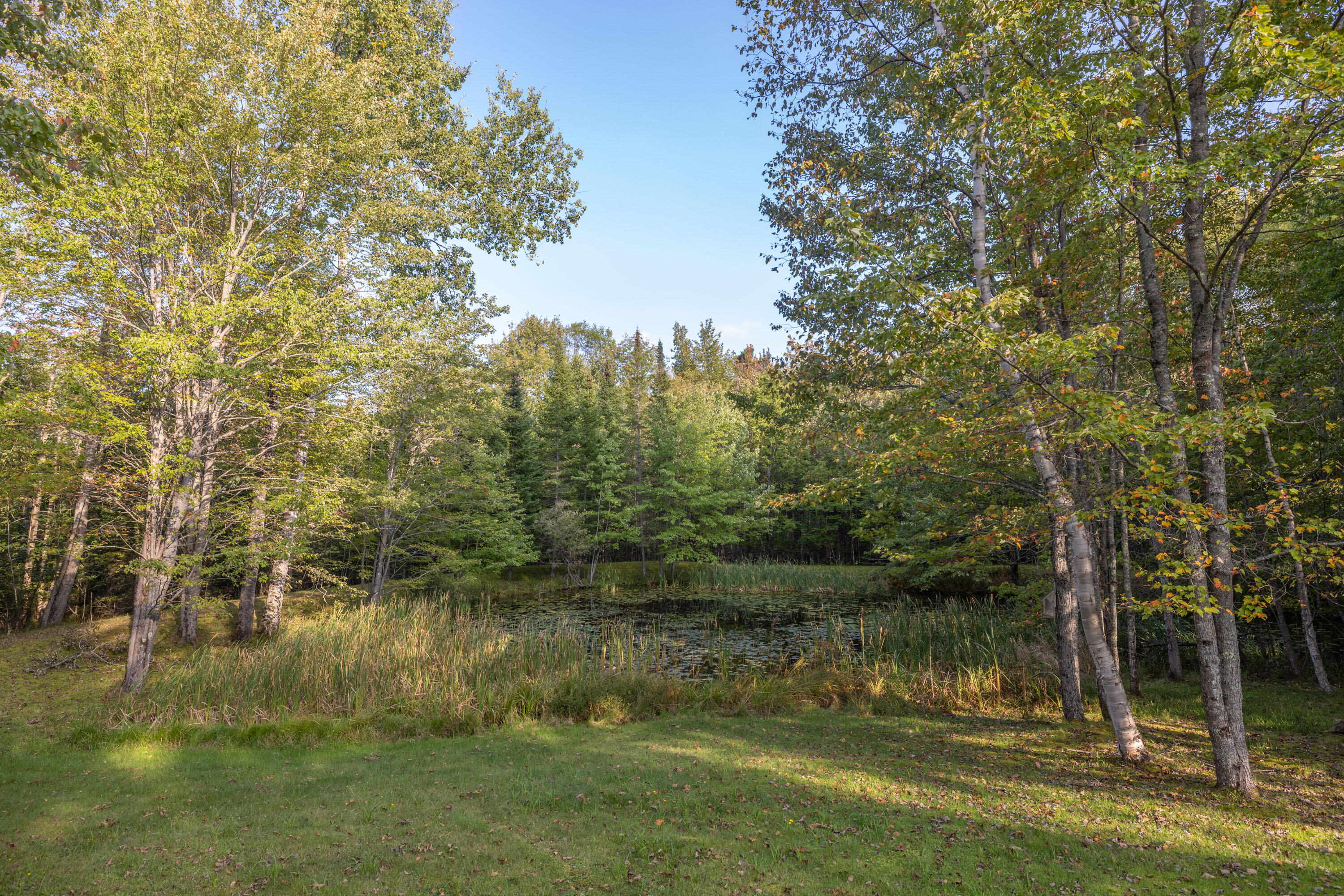 116 West Appleton Road Searsmont, ME 04973 - Photo 86 of 100 _SMC7617