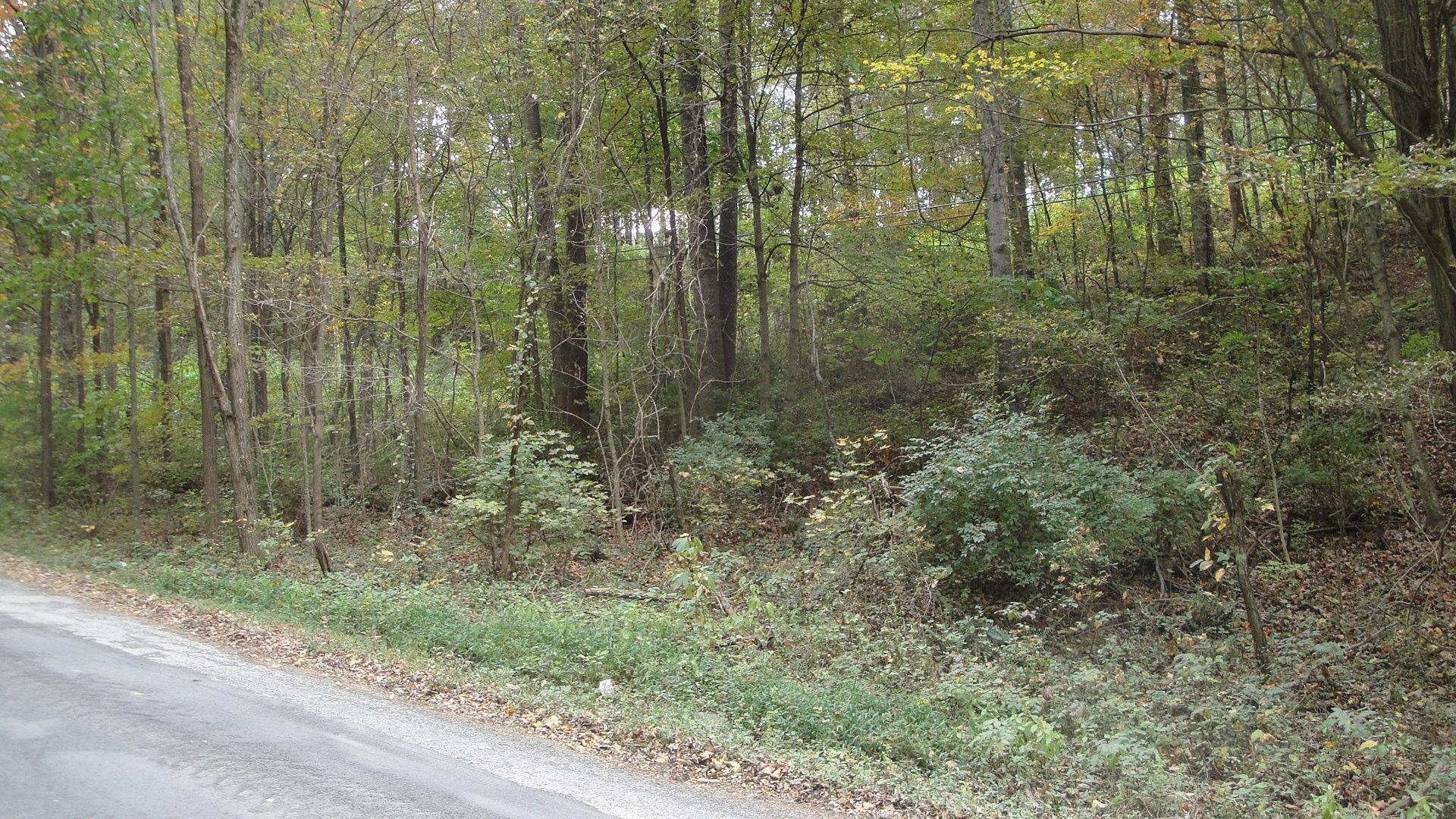 9-acres Burke Road New Tazewell, TN 37825 - Photo 1 of 7 DSC01219