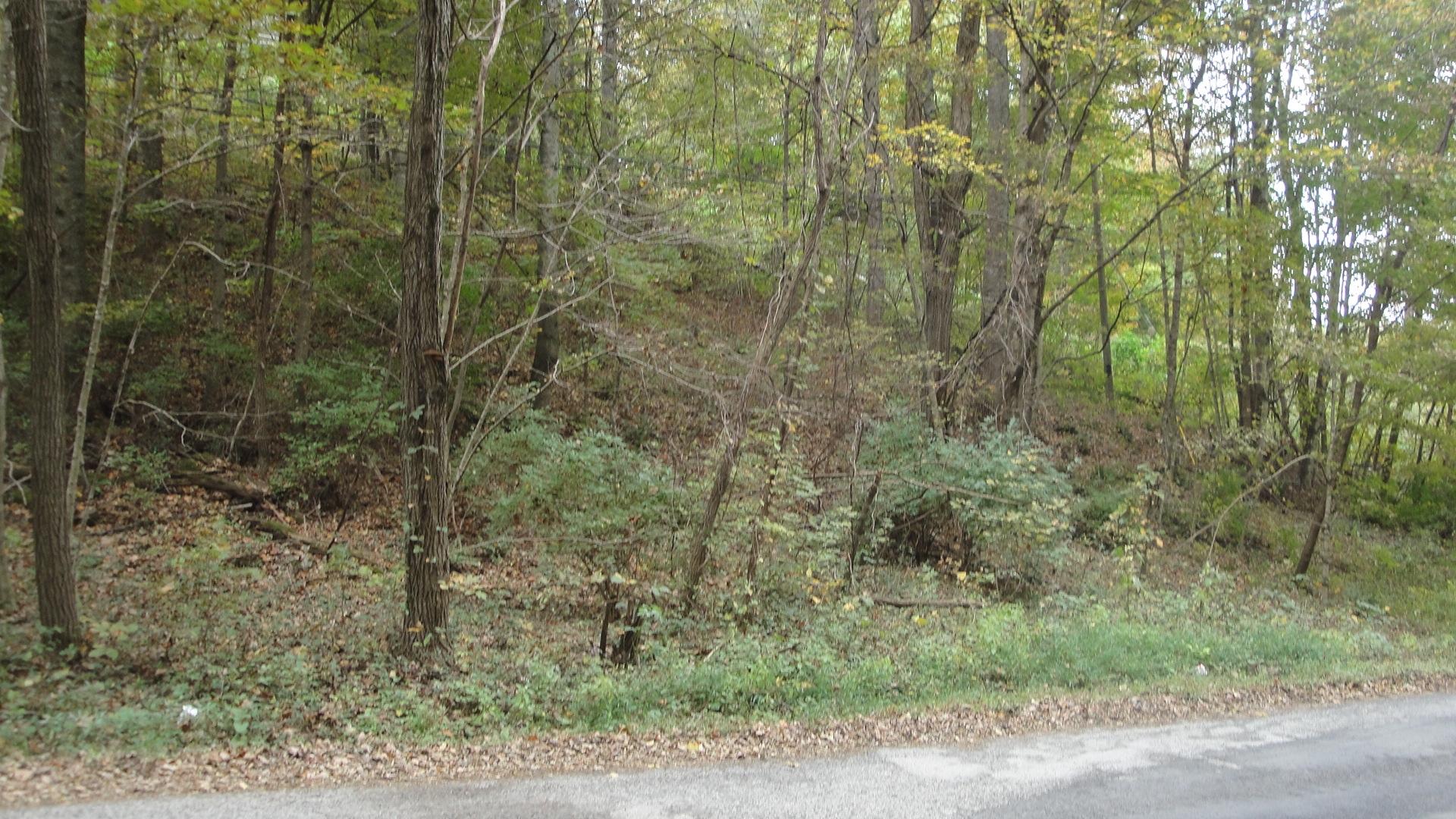 9-acres Burke Road New Tazewell, TN 37825 - Photo 3 of 7 DSC01218