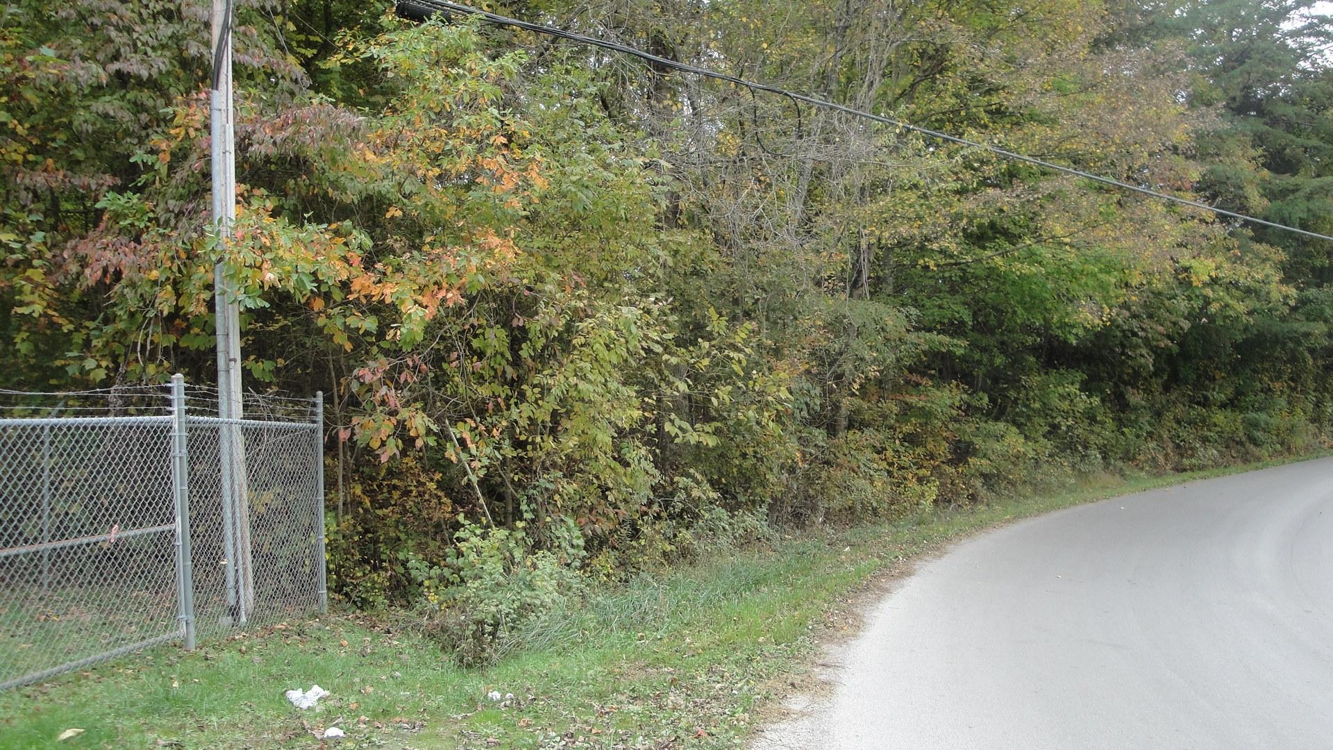9-acres Burke Road New Tazewell, TN 37825 - Photo 4 of 7 DSC01220