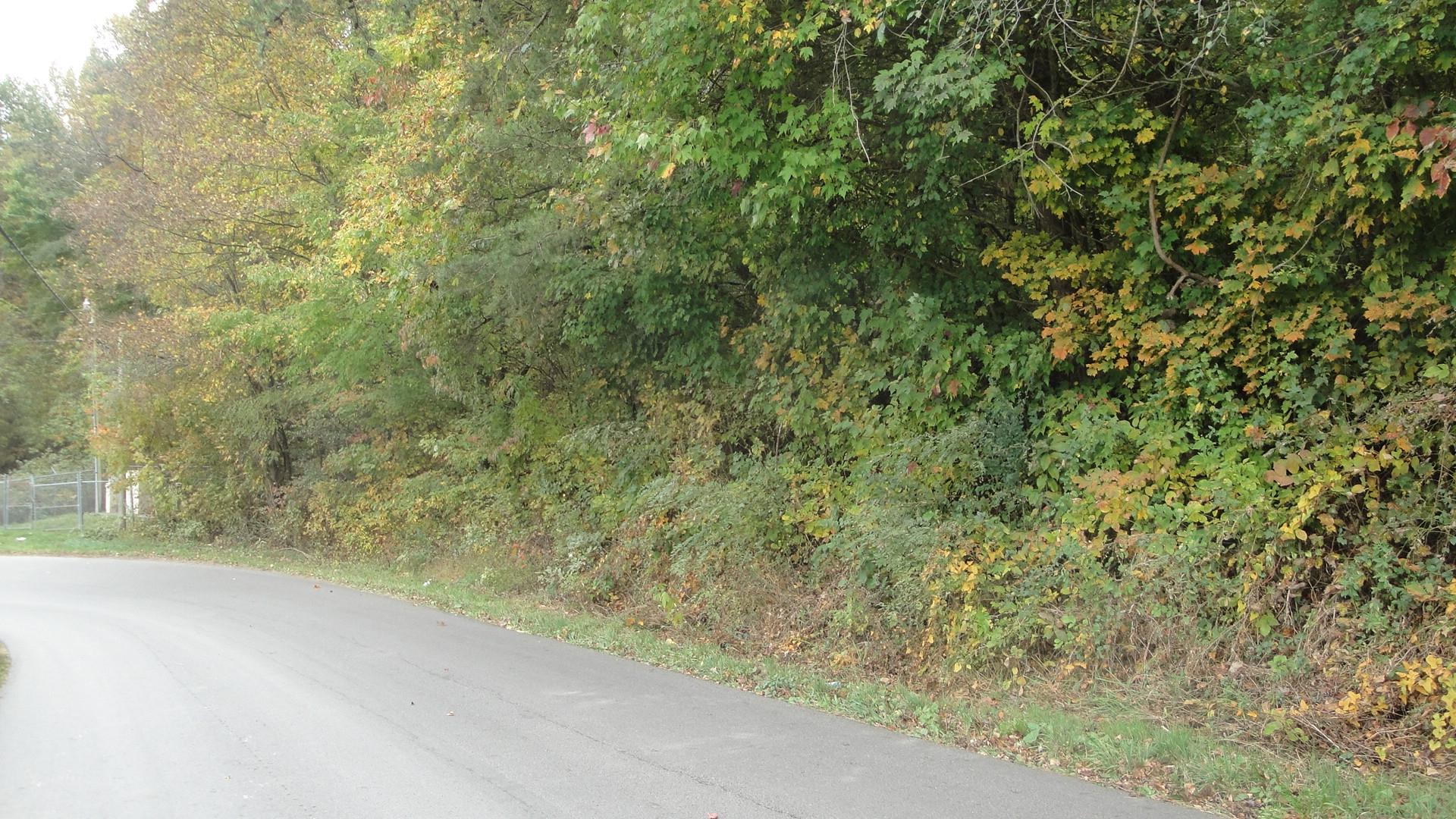 9-acres Burke Road New Tazewell, TN 37825 - Photo 5 of 7 DSC01221
