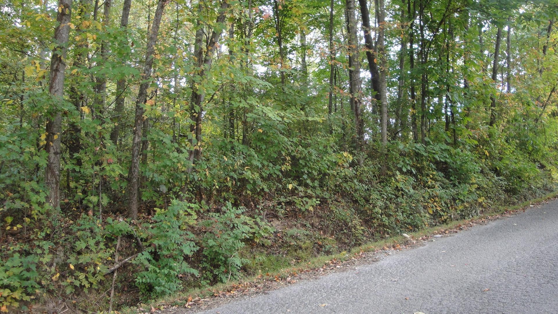 9-acres Burke Road New Tazewell, TN 37825 - Photo 6 of 7 DSC01239