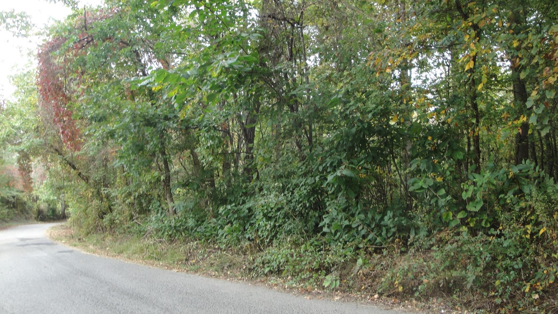 9-acres Burke Road New Tazewell, TN 37825 - Photo 7 of 7 DSC01240