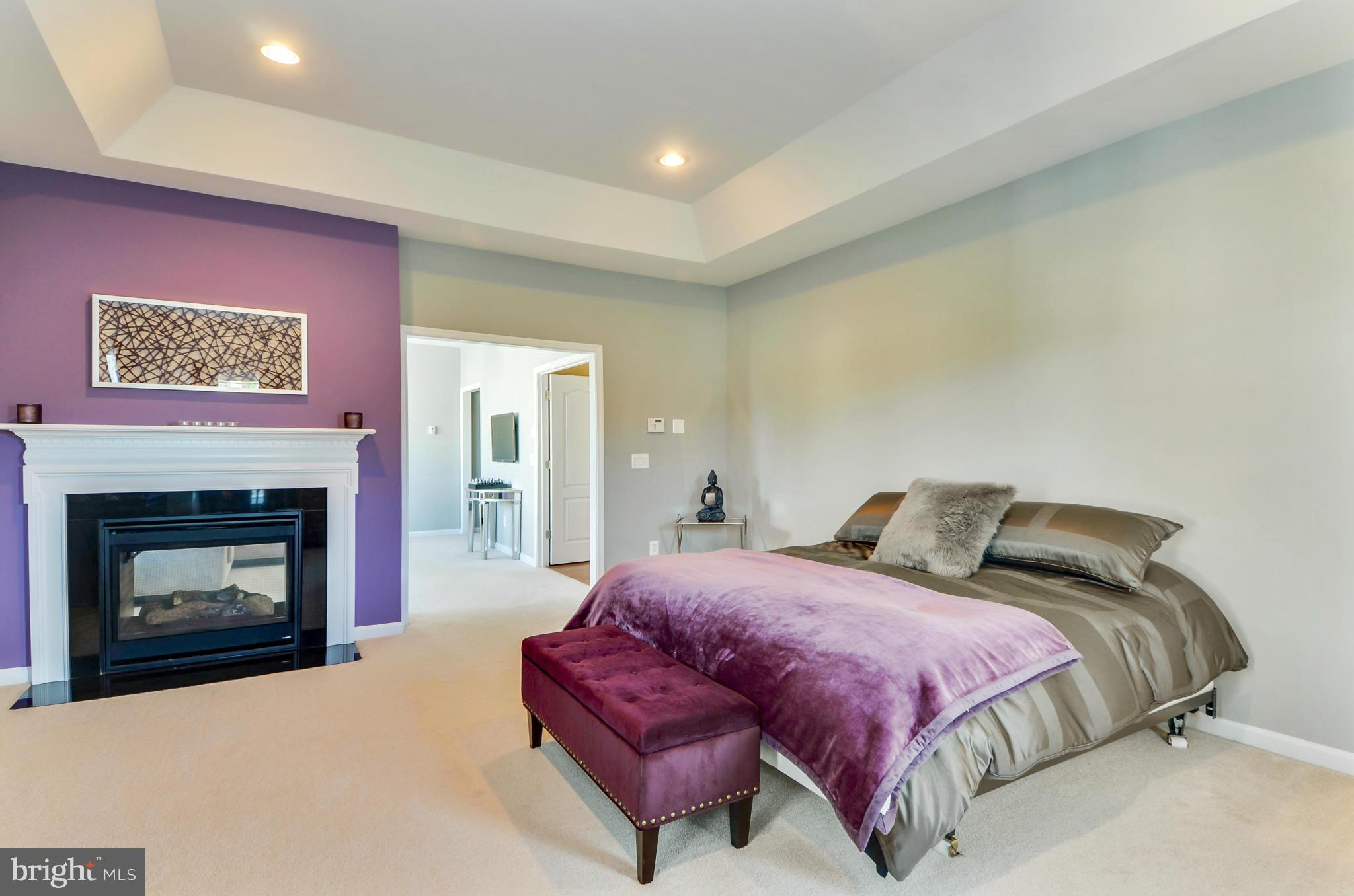 41953 Riding Mill Place Ashburn, VA 20148 - Photo 21 of 30 Bedroom (Master)