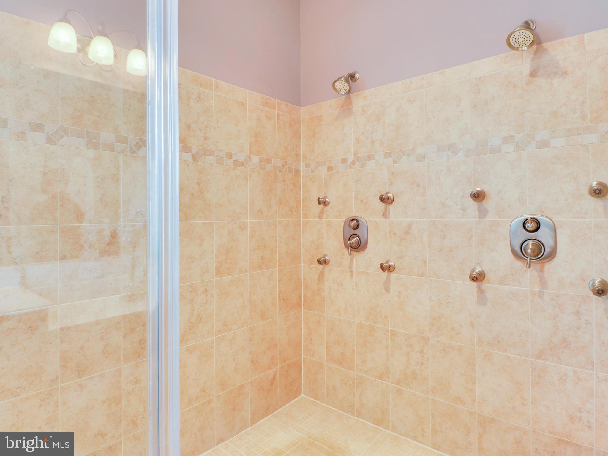 41953 Riding Mill Place Ashburn, VA 20148 - Photo 23 of 30 Bath (Master)