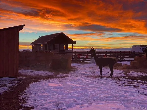 a view of a terrace with a garden