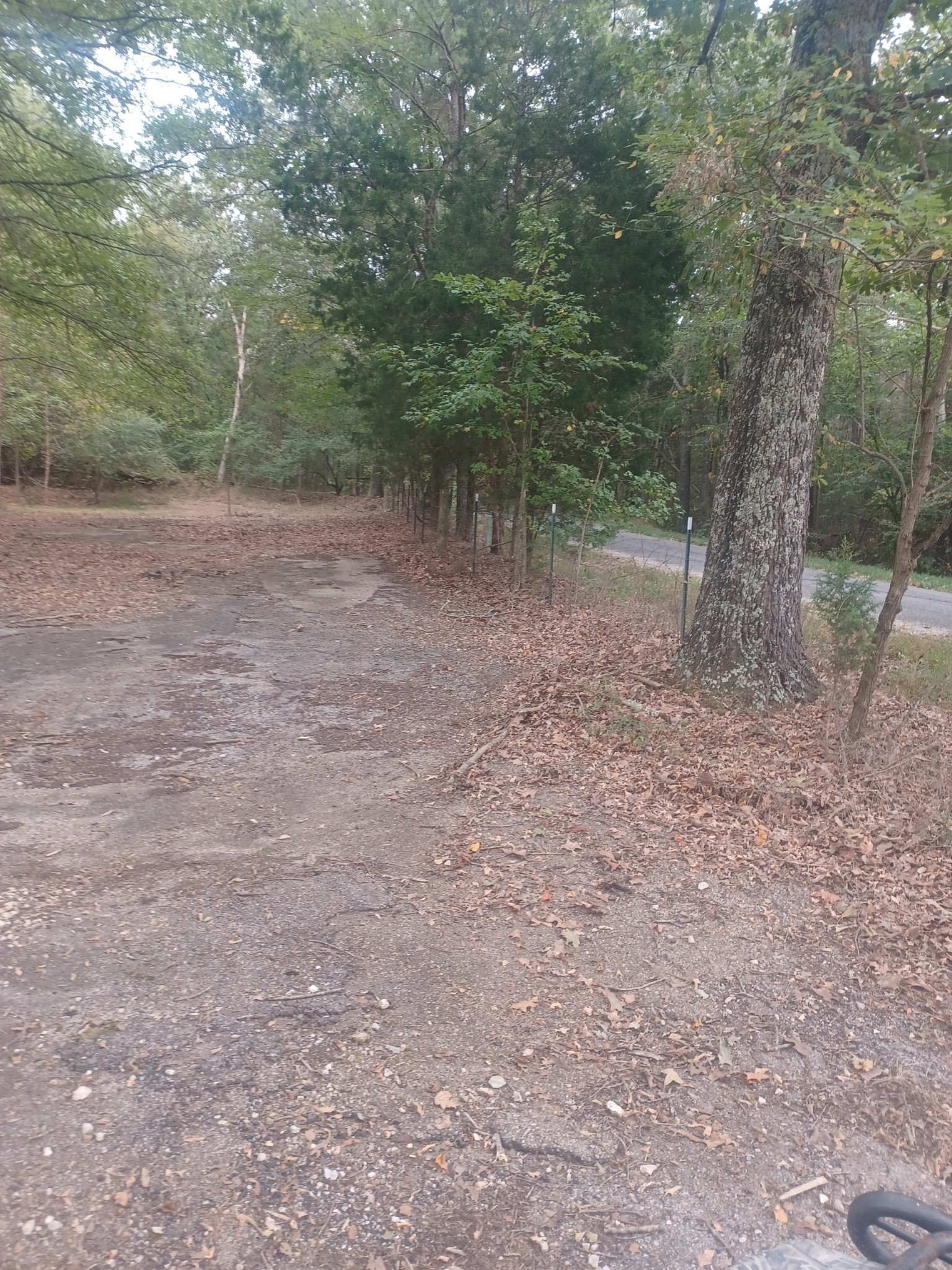567 Rawls Road Paris, TN 38242 - Photo 8 of 11