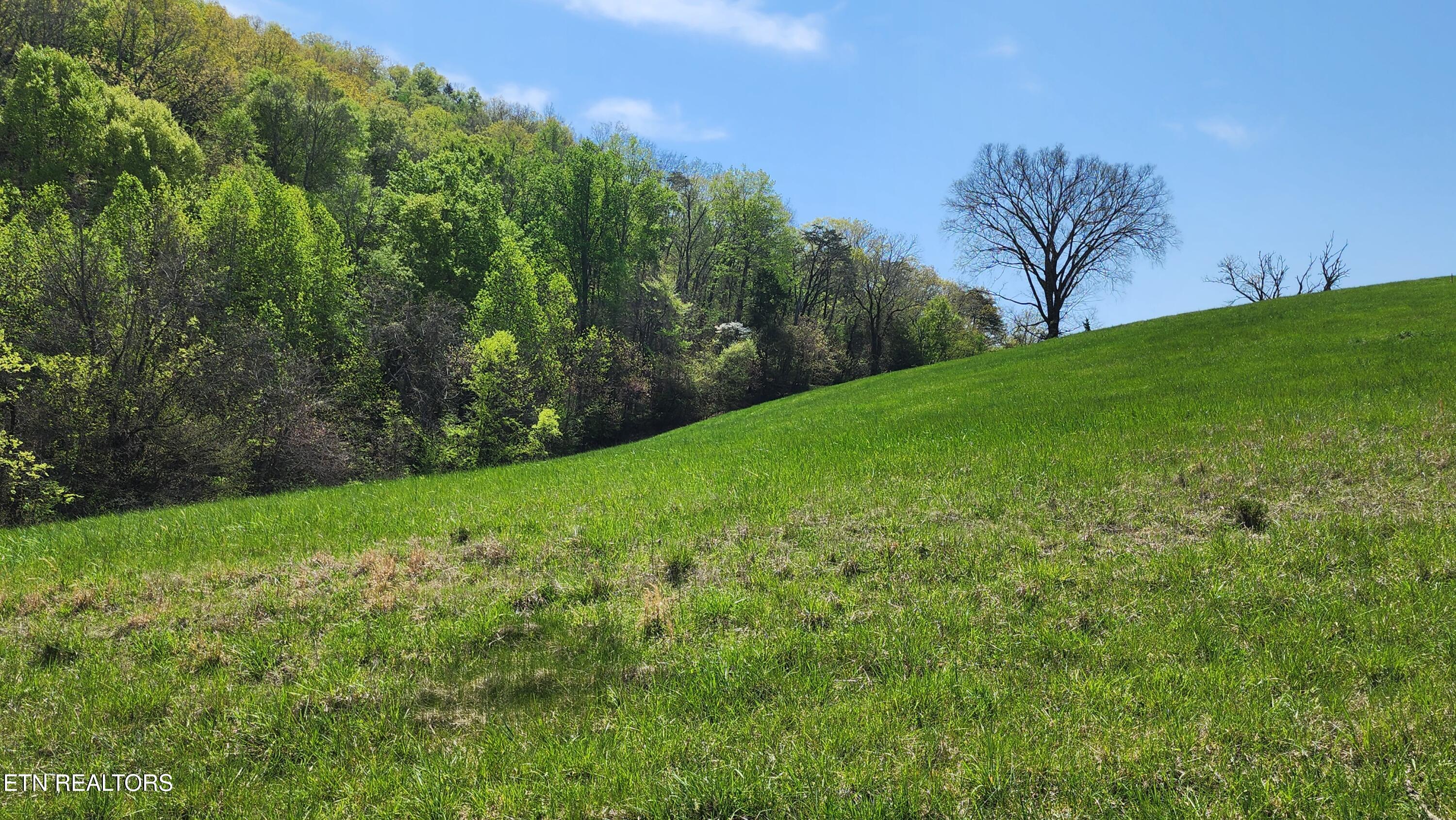 672 Diamond Lane Sharps Chapel, TN 37866 - Photo 31 of 35 20250414_125241