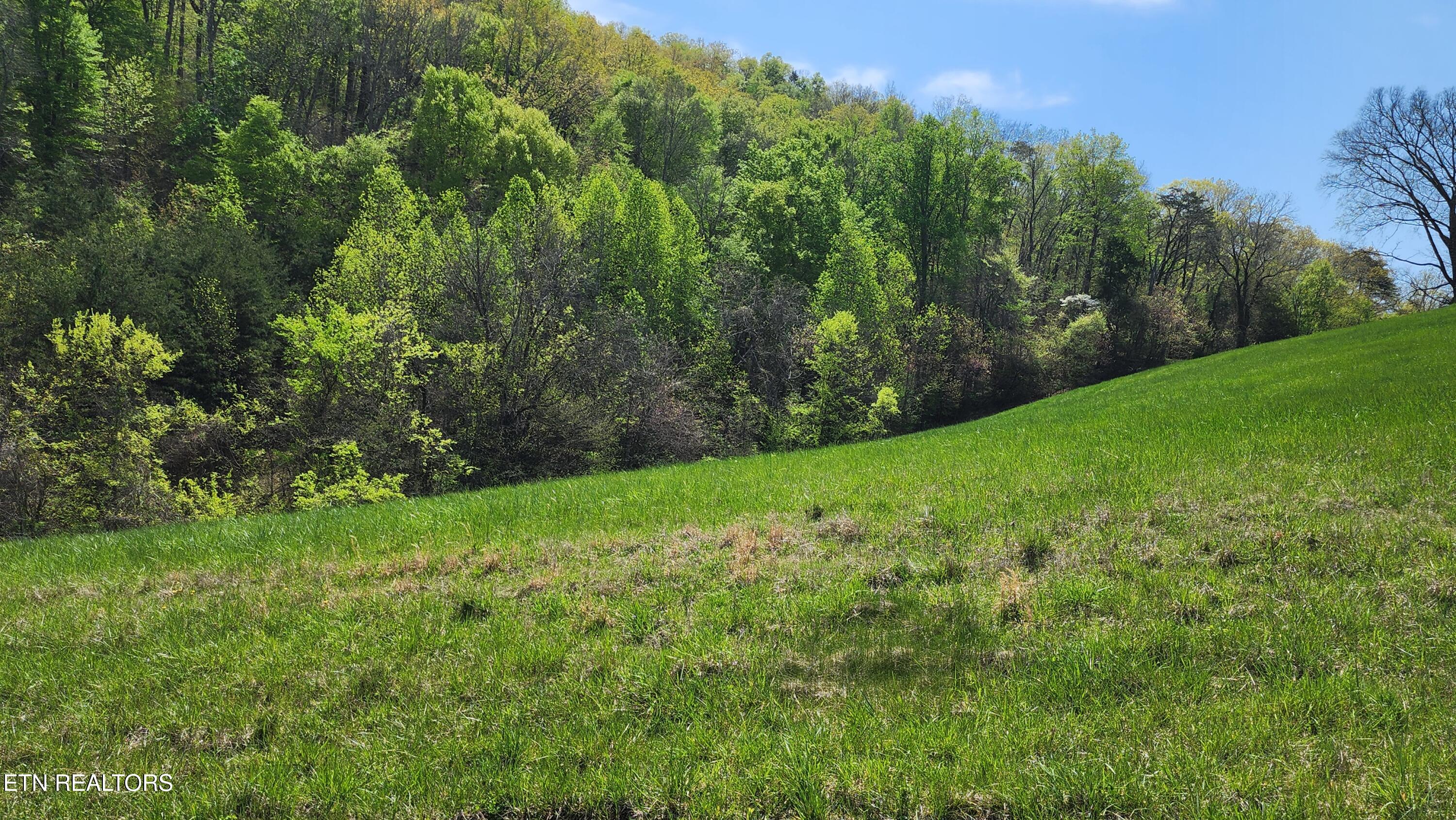 672 Diamond Lane Sharps Chapel, TN 37866 - Photo 32 of 35 20250414_125244