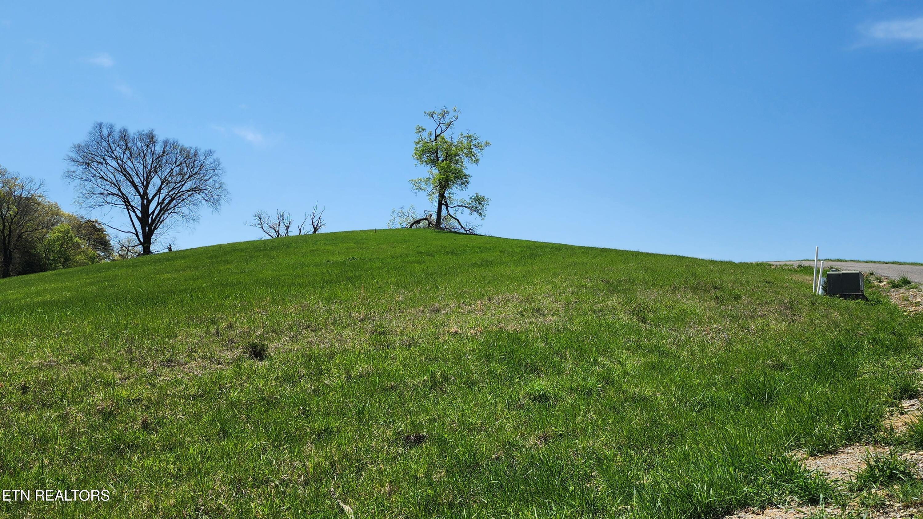 672 Diamond Lane Sharps Chapel, TN 37866 - Photo 33 of 35 20250414_125250(0)