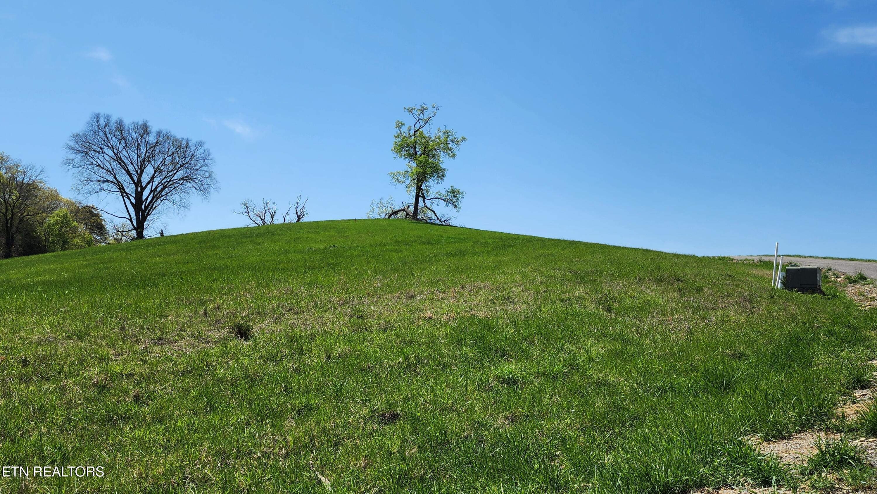 672 Diamond Lane Sharps Chapel, TN 37866 - Photo 34 of 35 20250414_125250