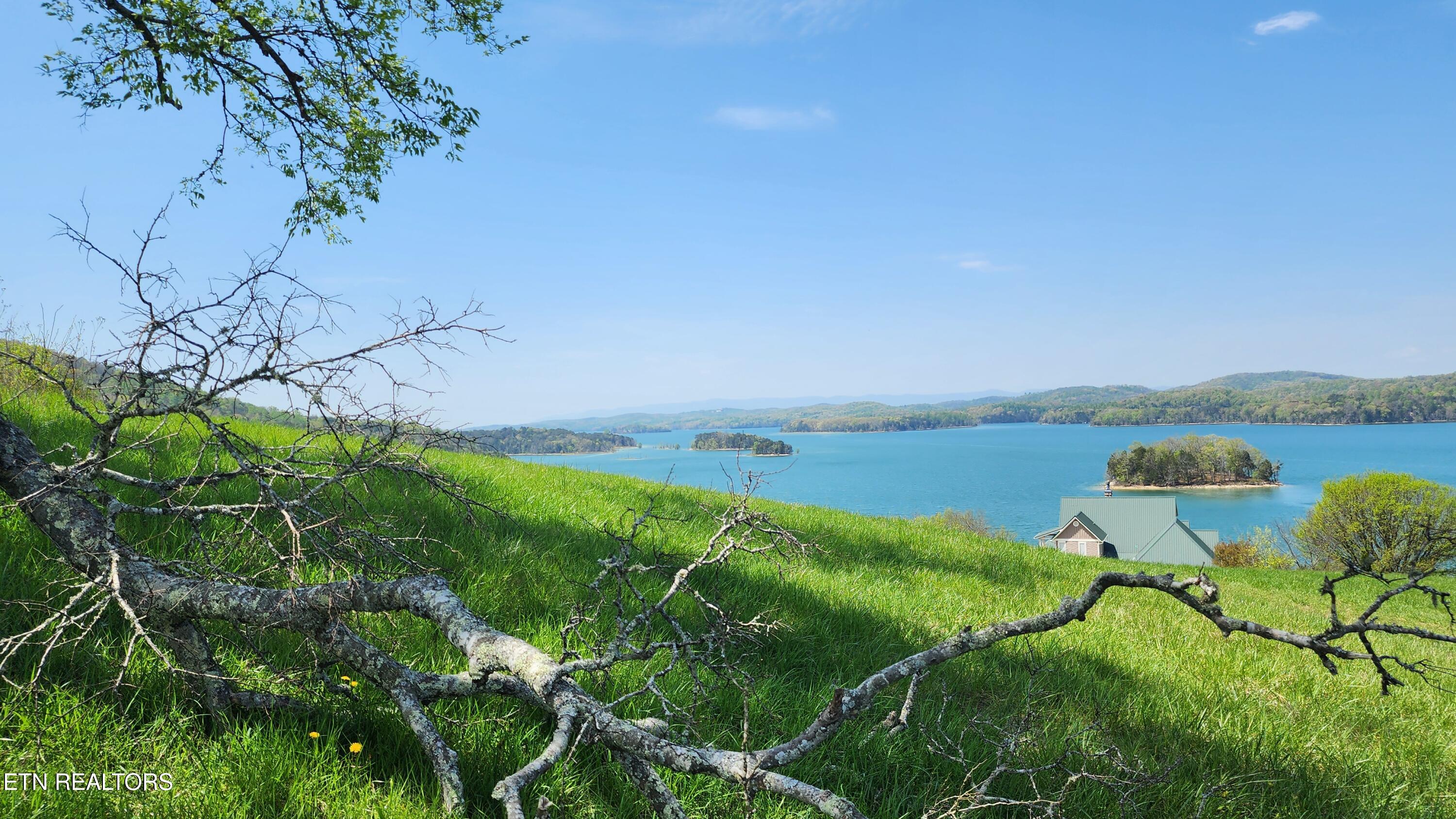 672 Diamond Lane Sharps Chapel, TN 37866 - Photo 5 of 35 20250414_124632