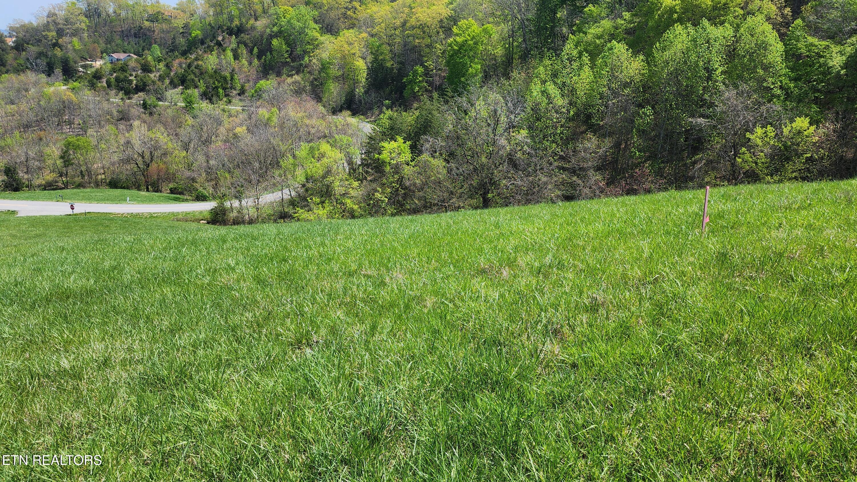 672 Diamond Lane Sharps Chapel, TN 37866 - Photo 7 of 35 20250414_124642