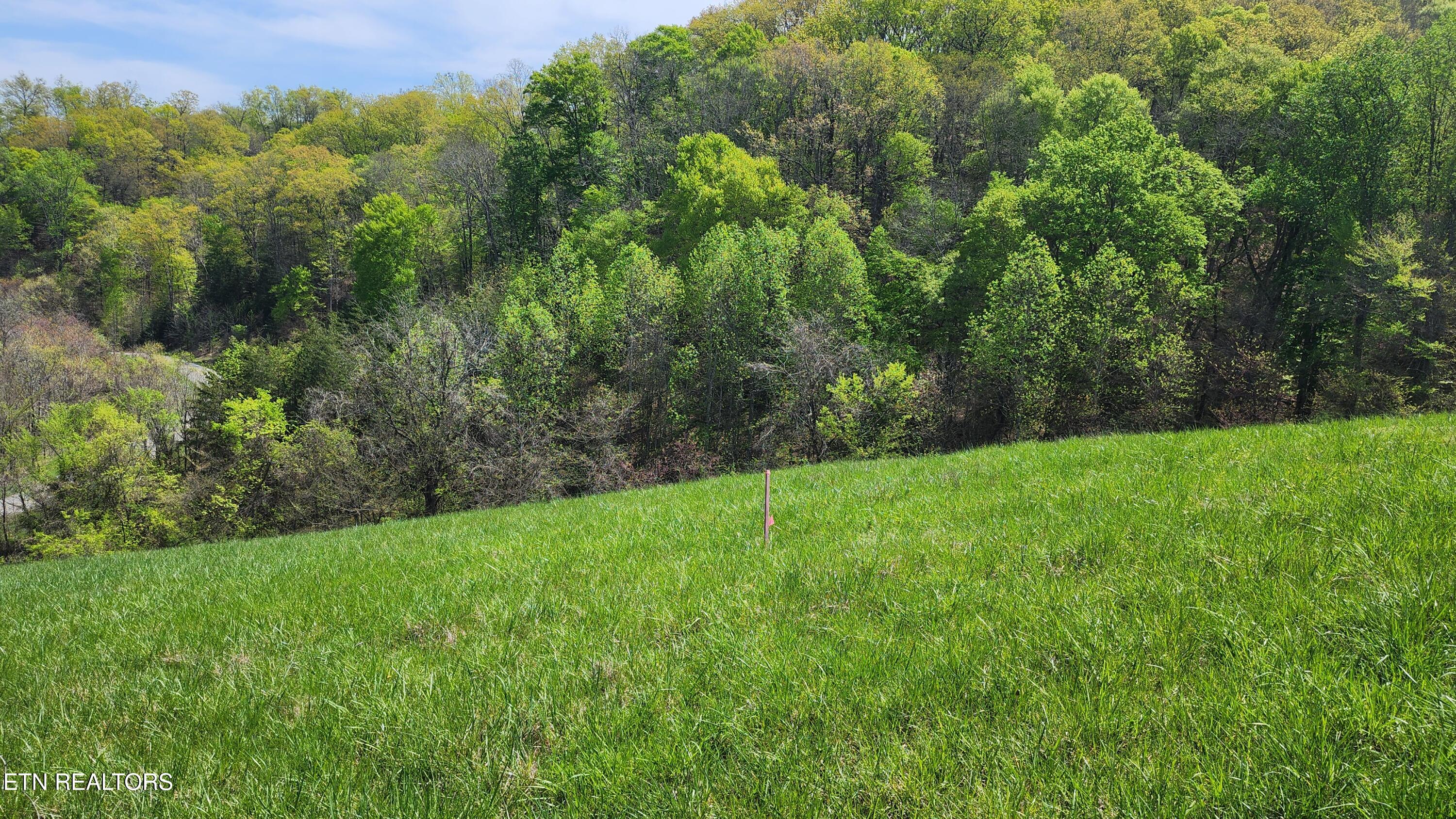 672 Diamond Lane Sharps Chapel, TN 37866 - Photo 8 of 35 20250414_124646