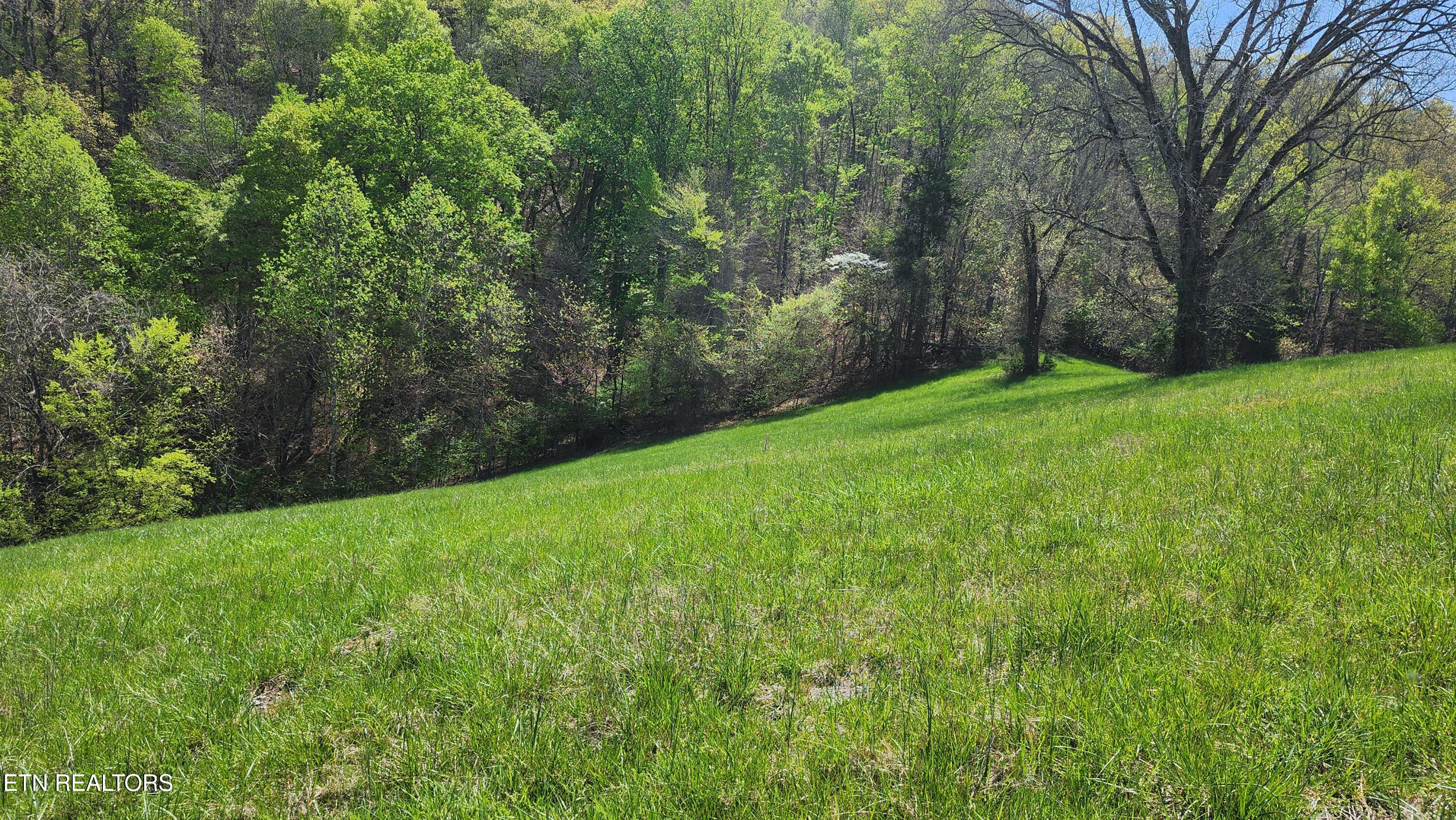 672 Diamond Lane Sharps Chapel, TN 37866 - Photo 9 of 35 20250414_124659