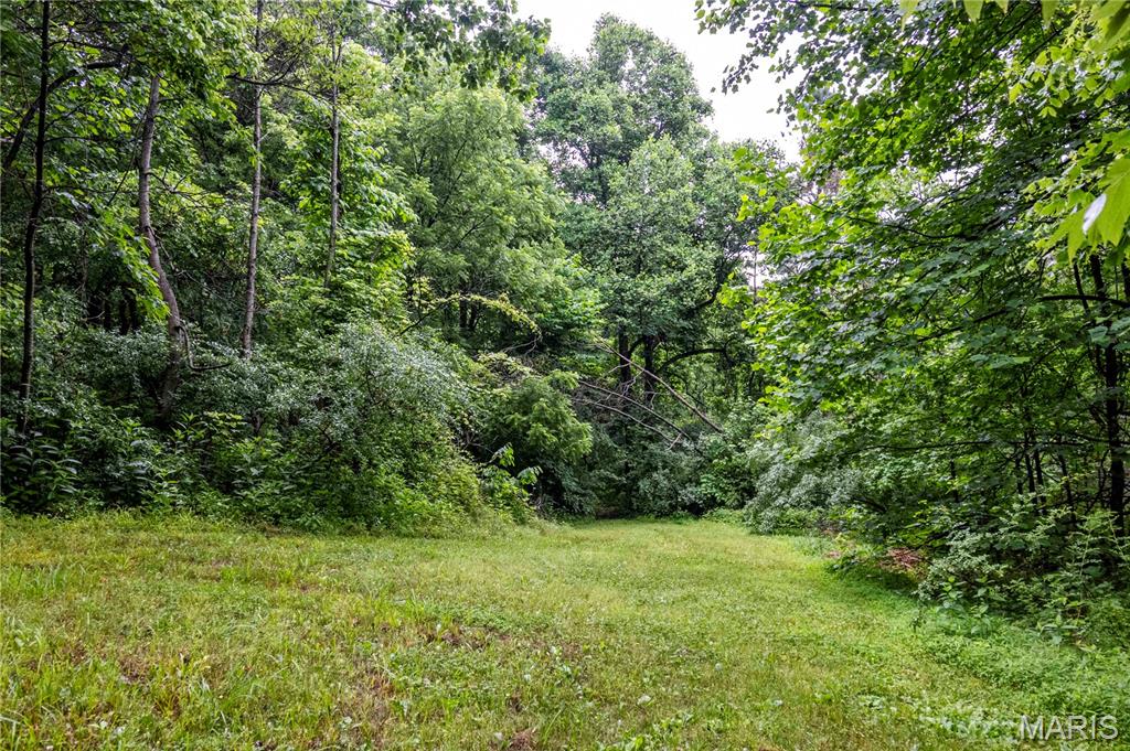19326 Old Delta Road Tamms, IL 62988 - Photo 59 of 81