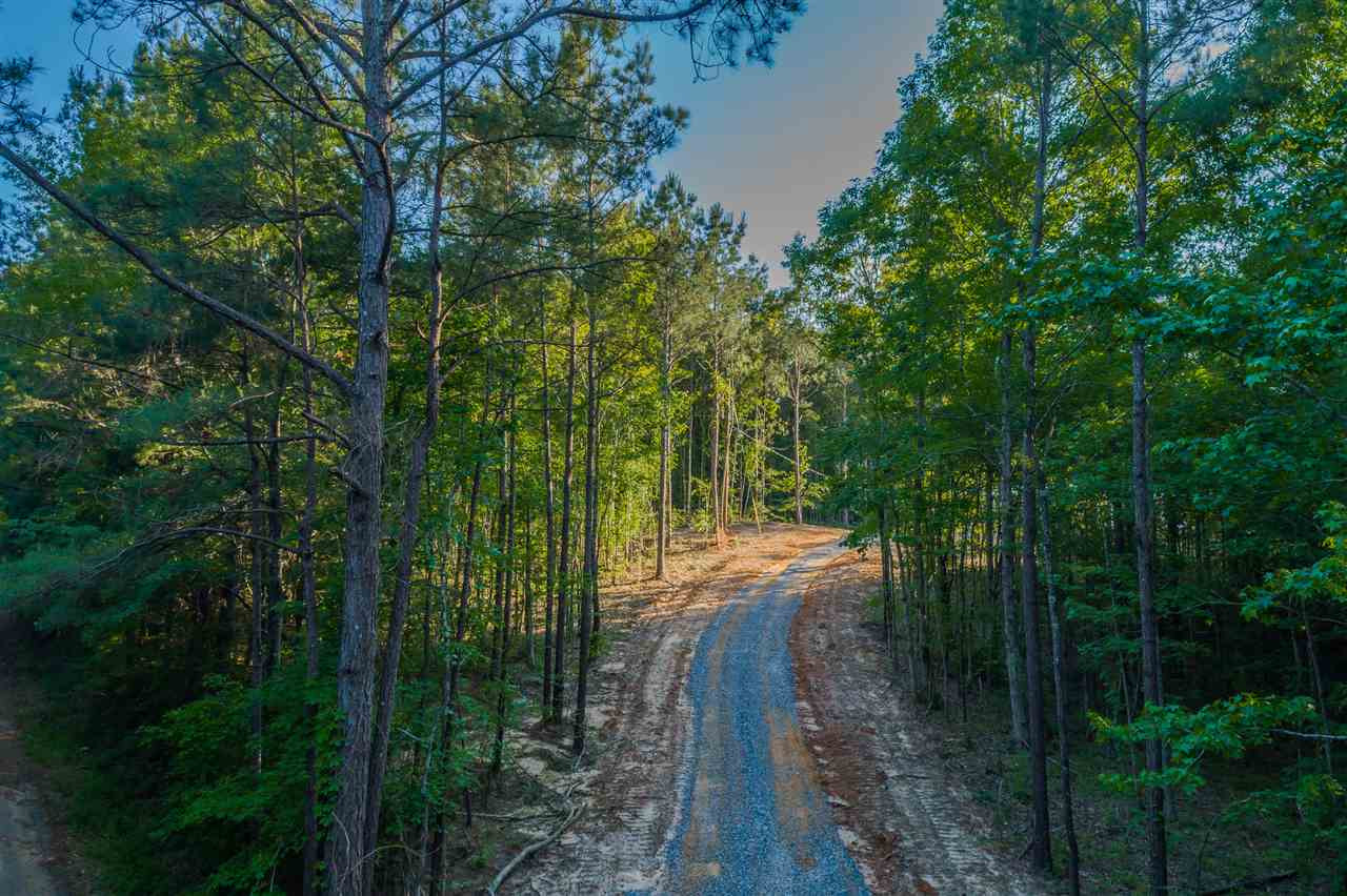 163 Bilbrew Road Canton, MS 39046 - Photo 2 of 44 Photo 2