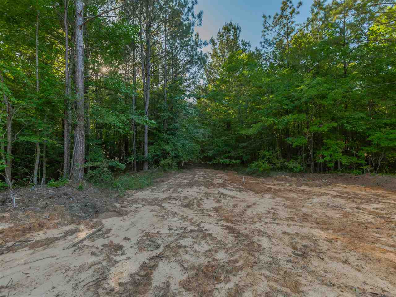 163 Bilbrew Road Canton, MS 39046 - Photo 42 of 44 Photo 42