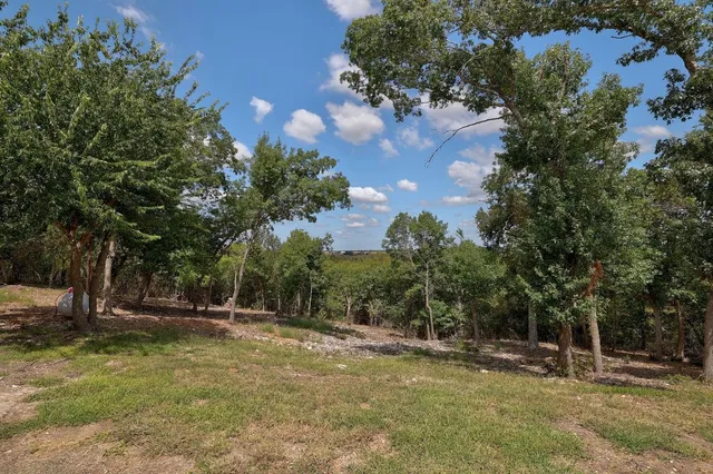 a view of a pathway both side of yard