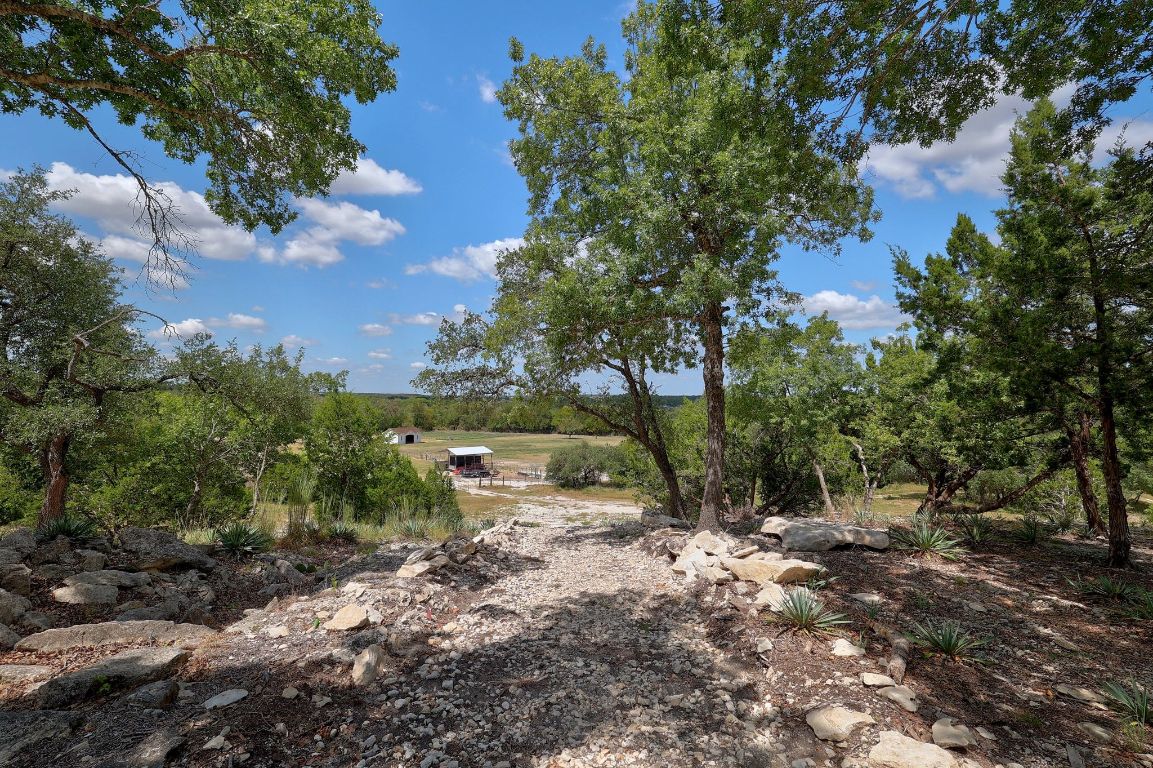 1120 Redbird Road Granger, TX 76530 - Photo 31 of 40 a view of a forest with trees
