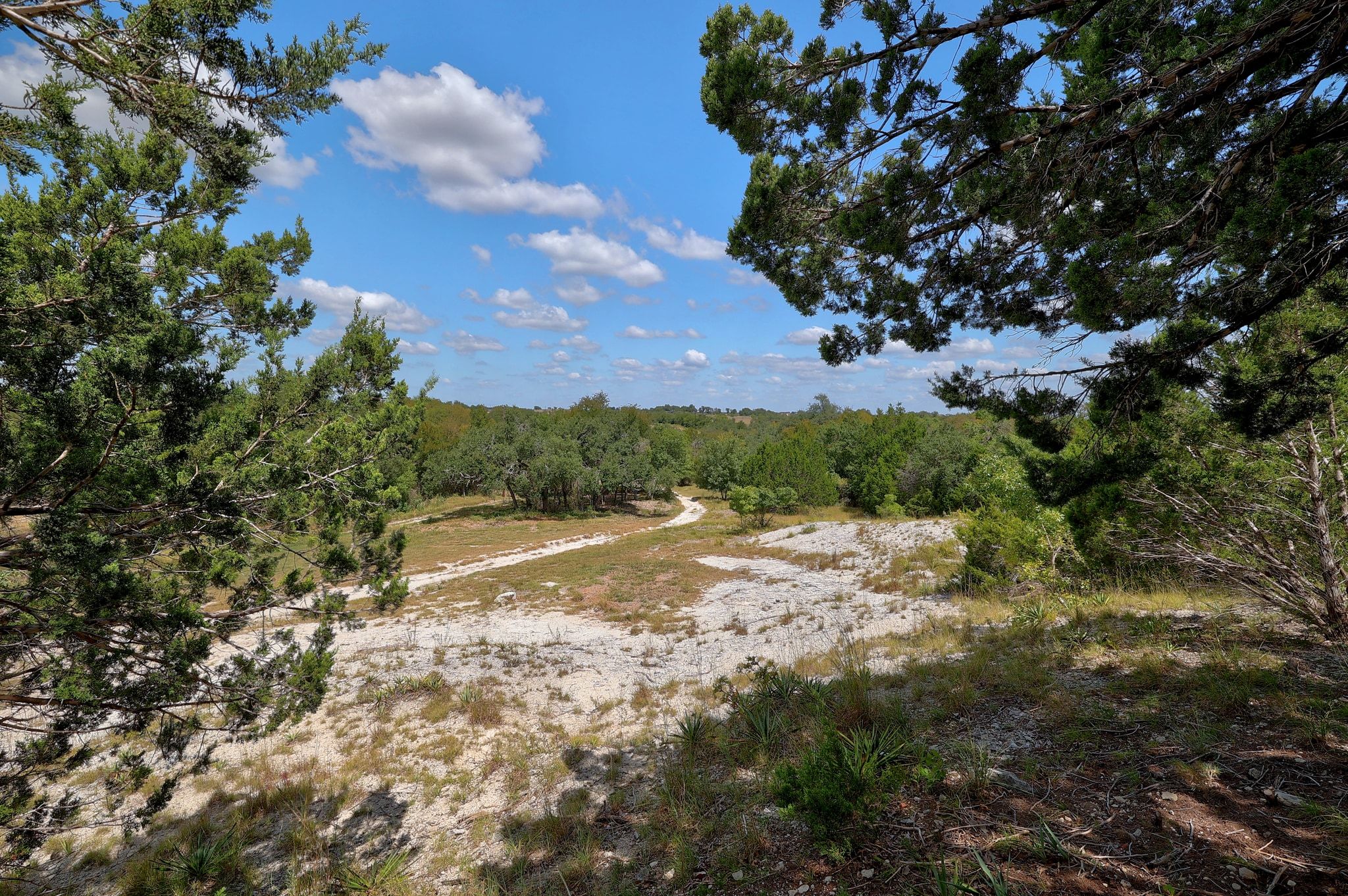 1120 Redbird Road Granger, TX 76530 - Photo 32 of 40 a view of outdoor space and yard