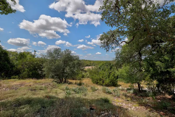 a view of a bunch of trees