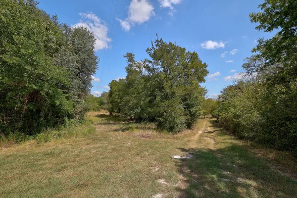 a view of a yard with a tree