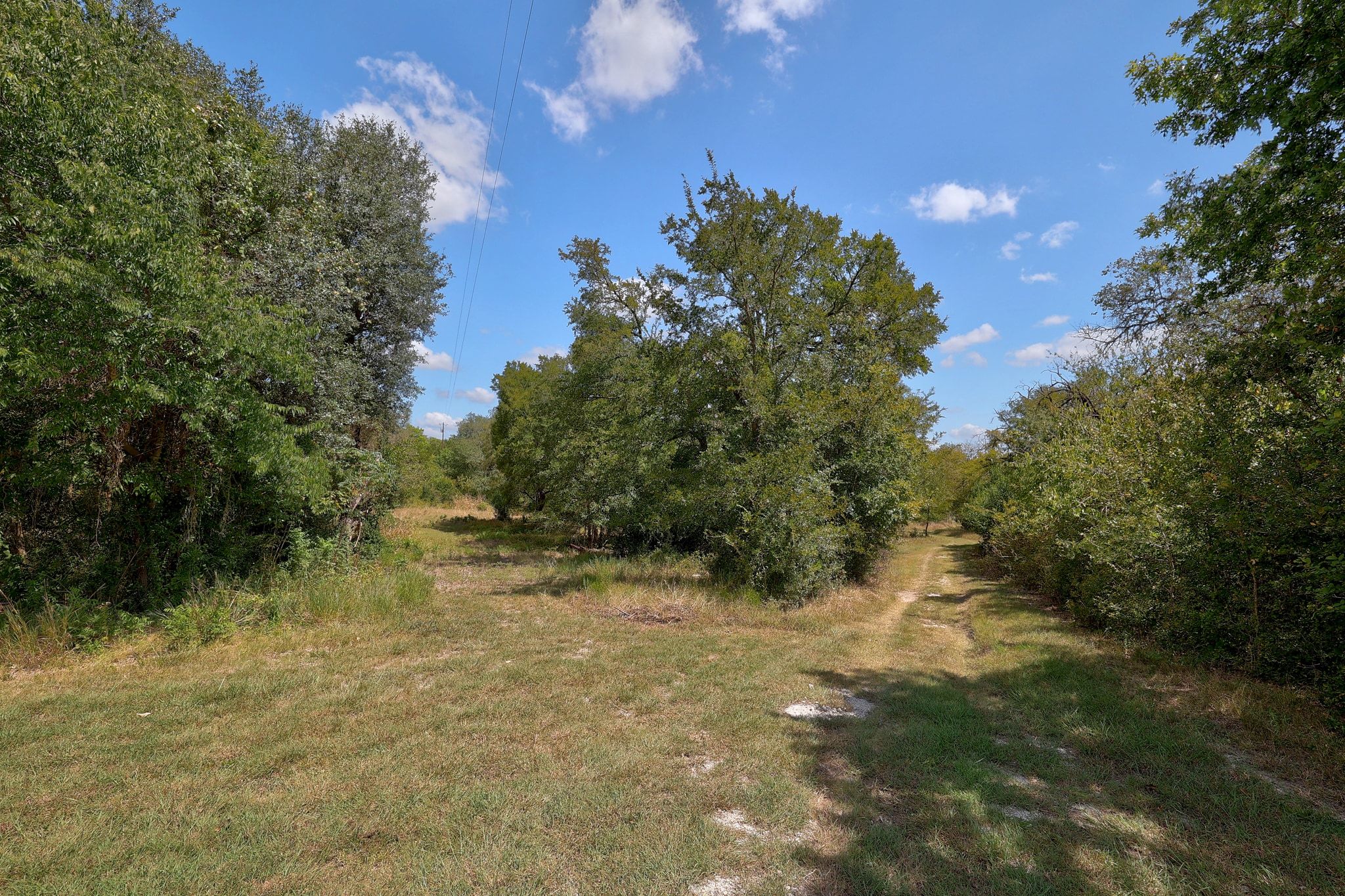 1120 Redbird Road Granger, TX 76530 - Photo 37 of 40 a view of a yard with a tree