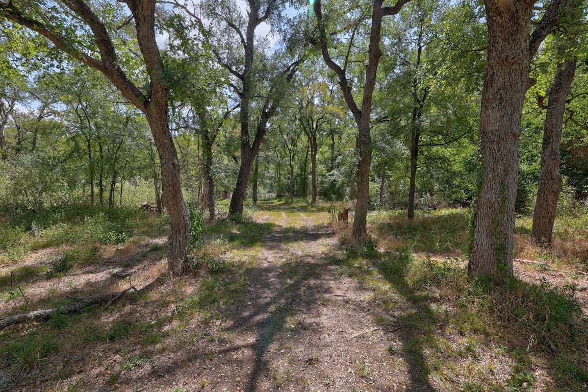 1120 Redbird Road Granger, TX 76530 - Photo 38 of 40 a view of a forest with trees