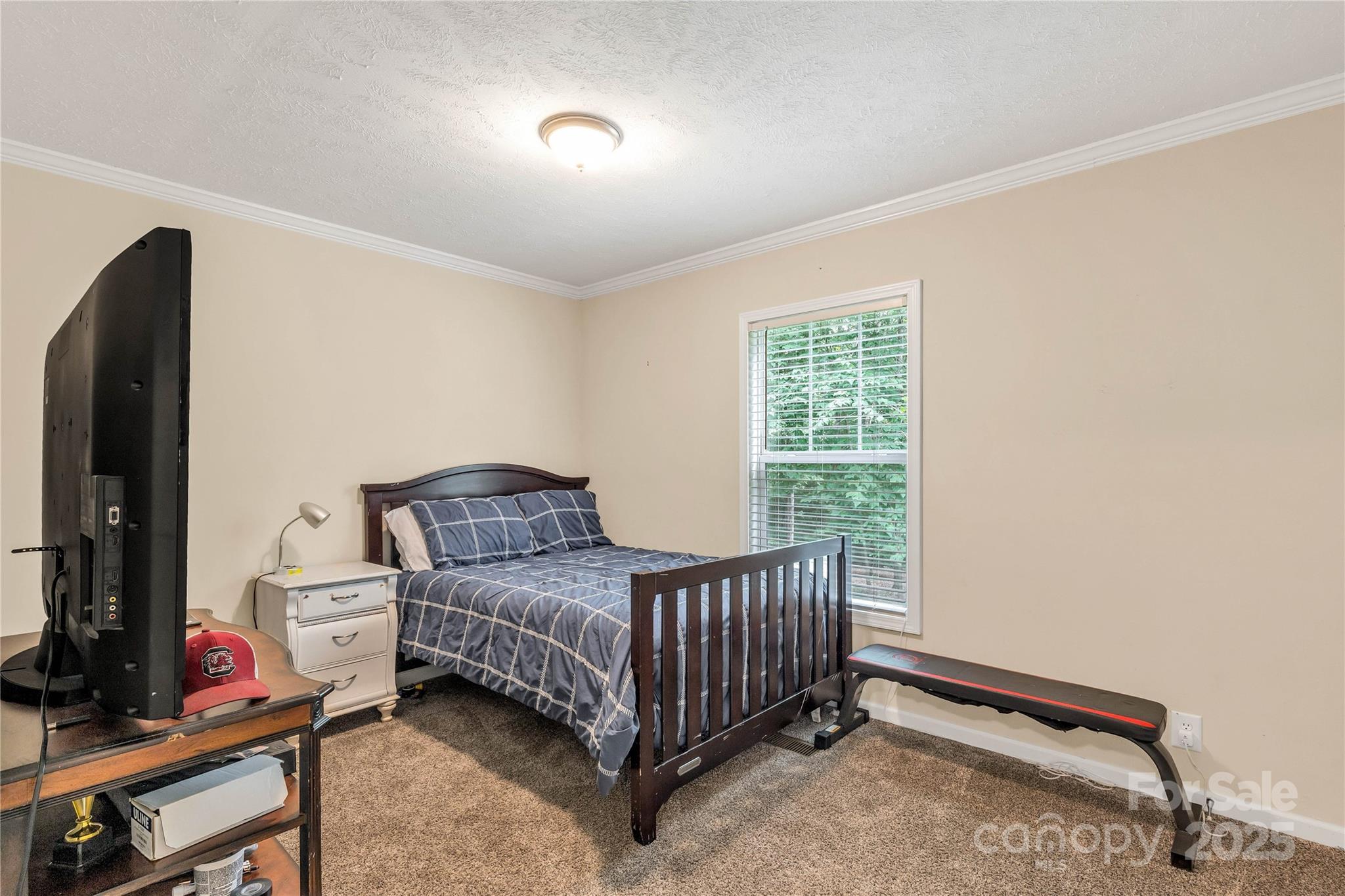 159 Blackmon Road Lancaster, SC 29720 - Photo 21 of 32 a living room with a bed furniture and a flat screen tv