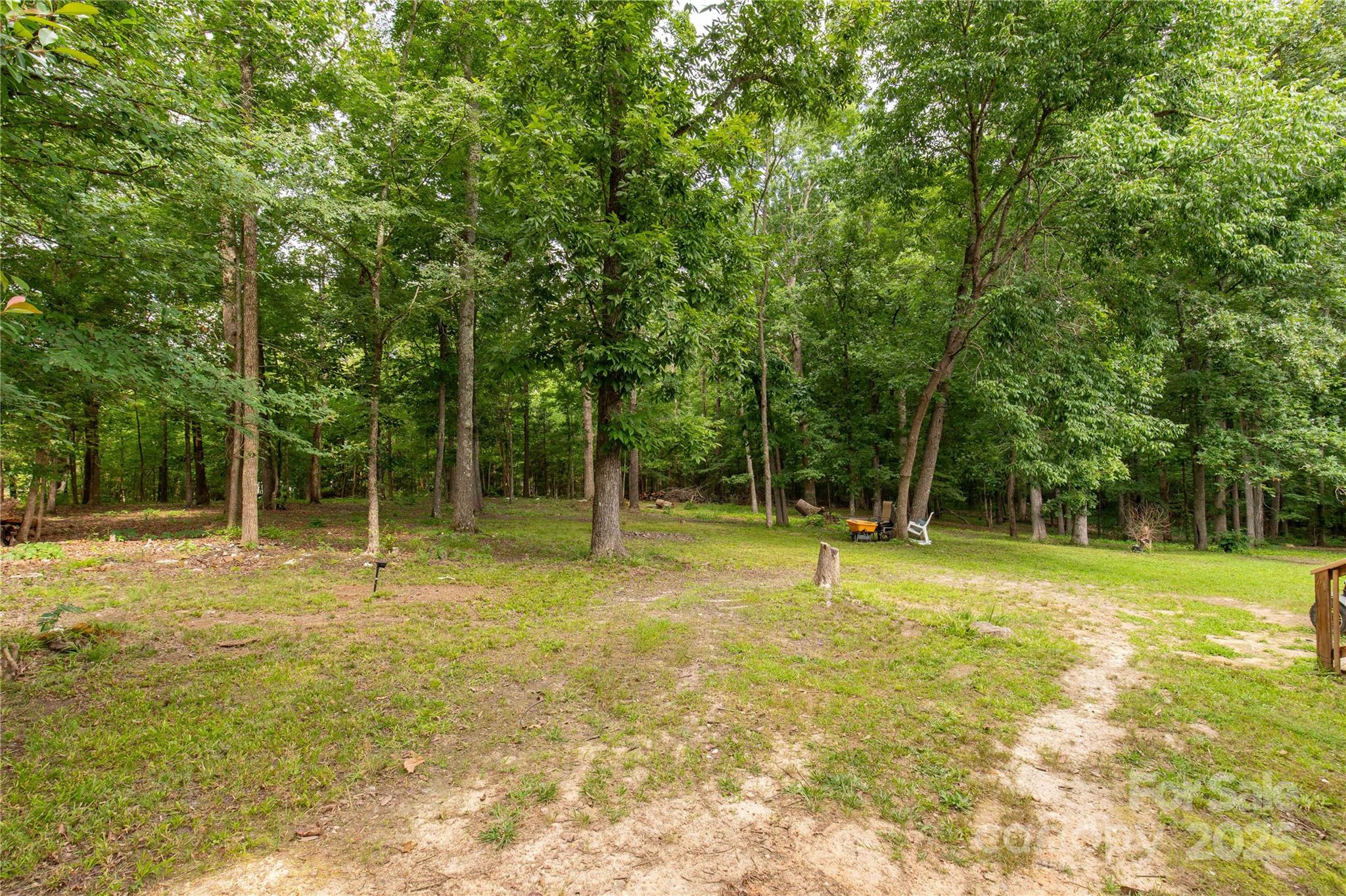159 Blackmon Road Lancaster, SC 29720 - Photo 28 of 32 a view of a yard with a trees