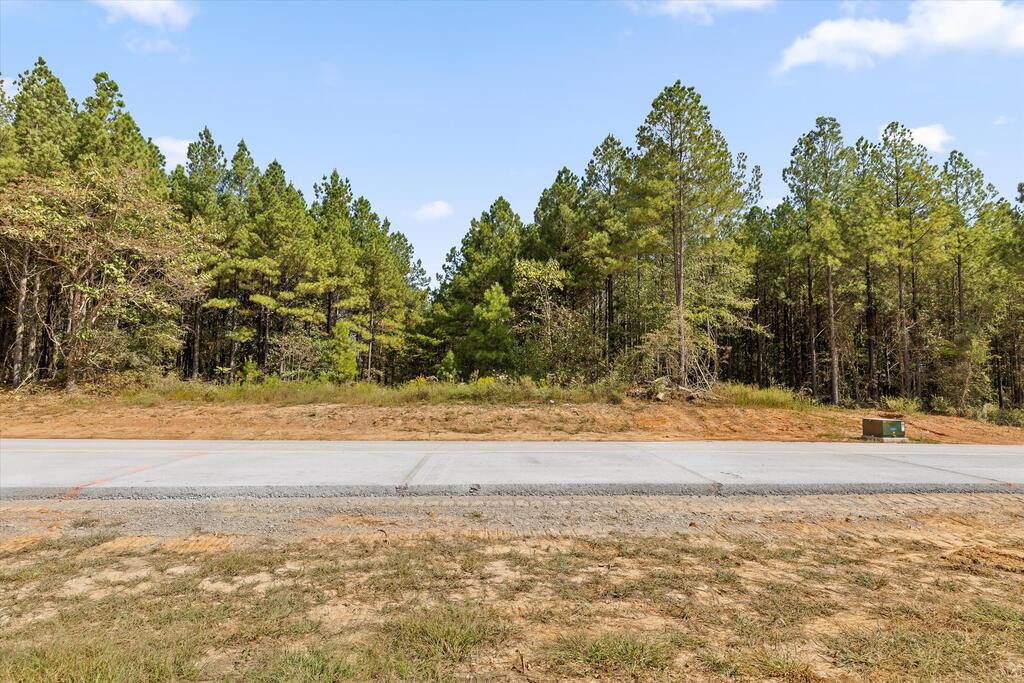 5370 River Bend Road Nashville, TN 37221 - Photo 12 of 41 Gallery Image 12