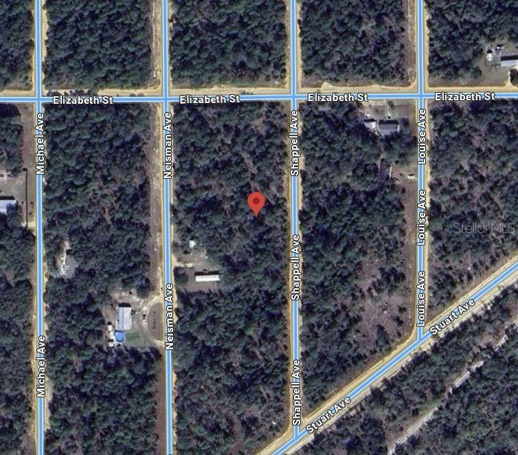 Shappell Avenue Interlachen, FL 32148 - Photo 11 of 16 a bird view of a small yard