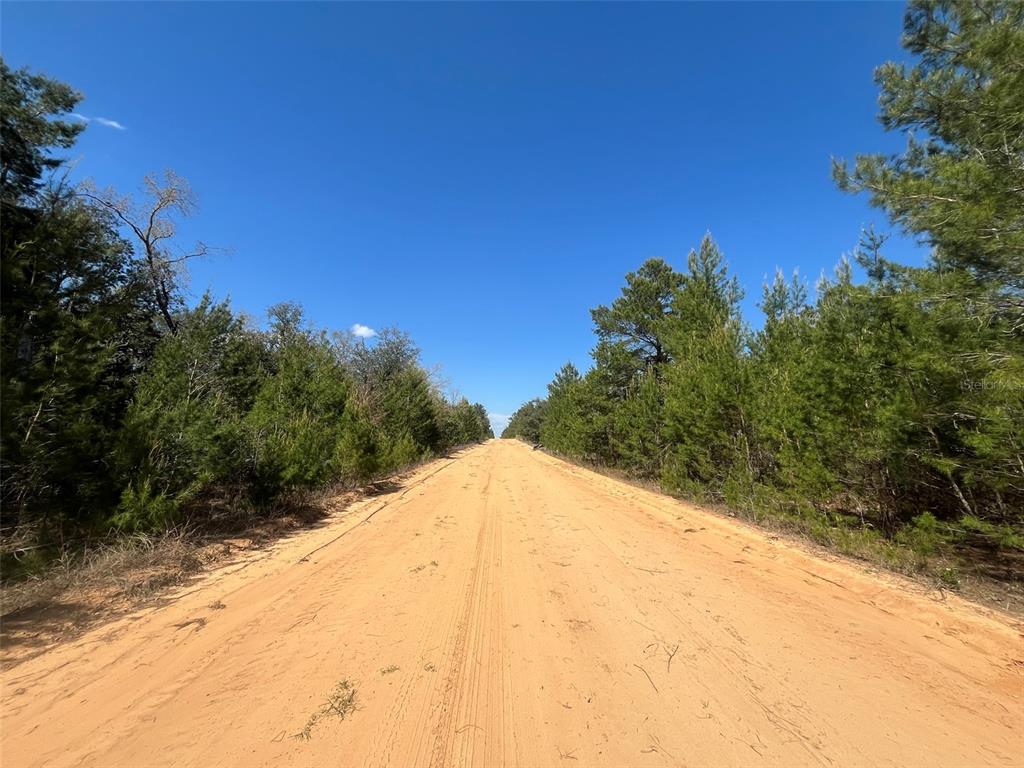 Shappell Avenue Interlachen, FL 32148 - Photo 8 of 16 a view of a backyard of the house