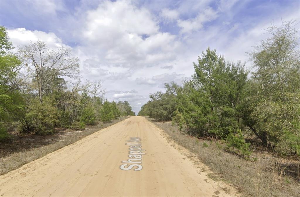 Shappell Avenue Interlachen, FL 32148 - Photo 9 of 16 a view of a dry yard with trees in the background