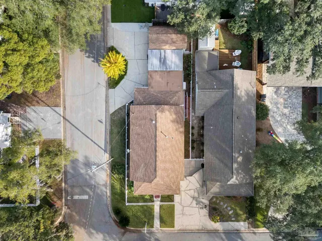 a view of a bunch of trees and bushes