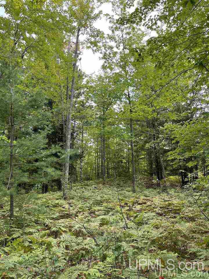 Tbd Timber Creek Road Marquette, MI 49855 - Photo 8 of 14