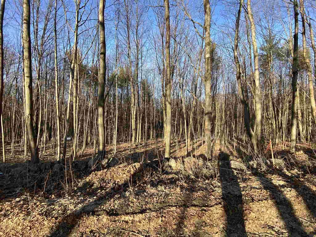 Lot 15-8 Raccoon Hill Road Salisbury, NH 03268 - Photo 3 of 5