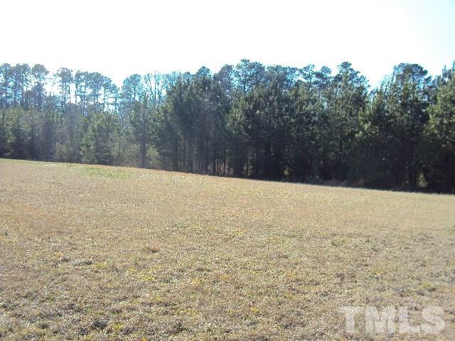 6904 Battle Bridge Road Raleigh, NC 27610 - Photo 3 of 5
