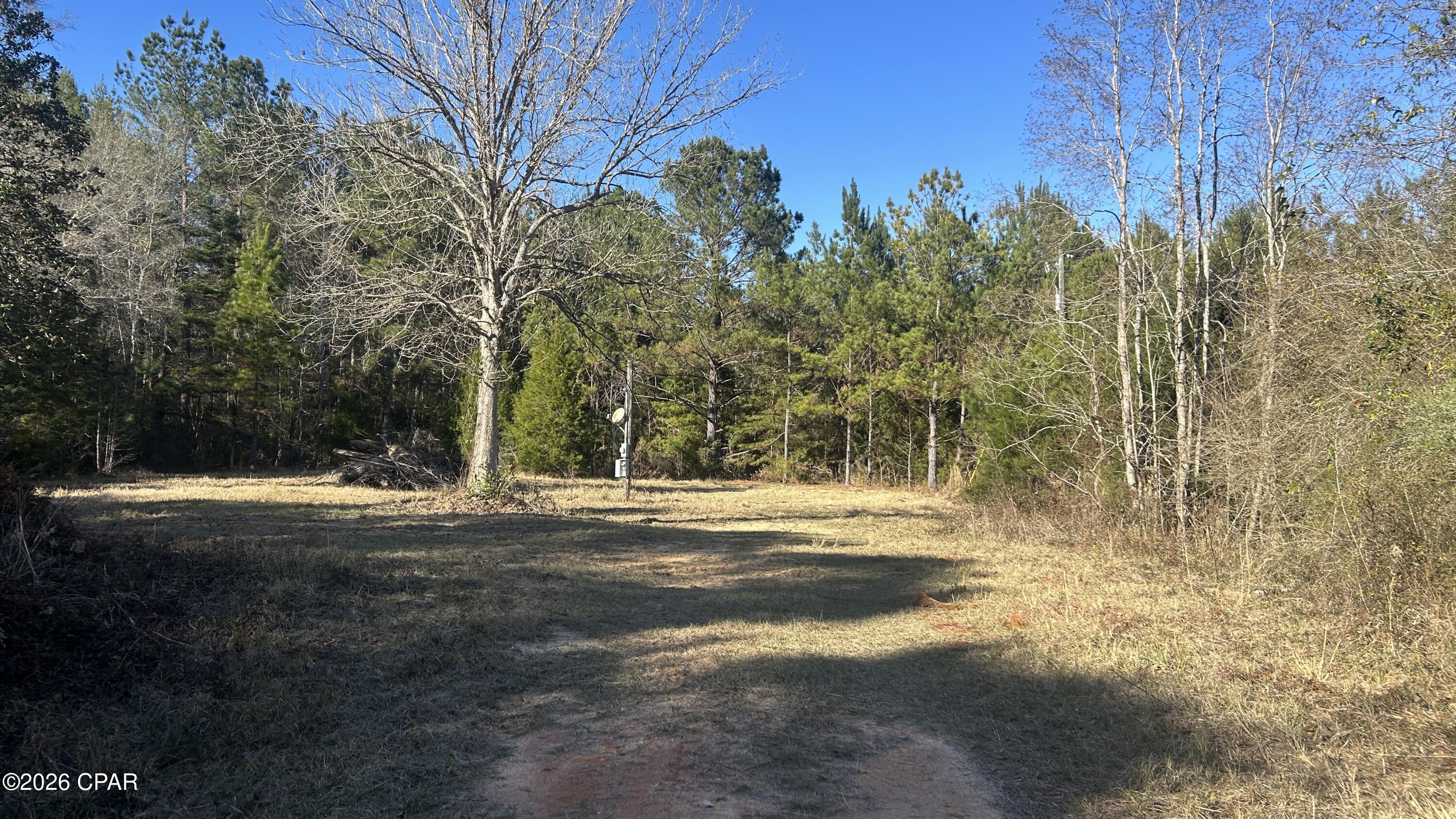 660 White Creek Road Ponce de Leon, FL 32455 - Photo 11 of 40