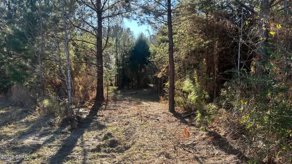 $169,000 | 660 White Creek Road, Ponce de Leon, FL 32455